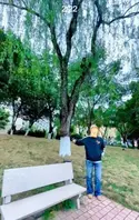 序良俗去哪儿了 高校瓜田炸了！成都文理学院秒变“大型社死现场”教学楼前绿植区0