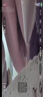 主播福利骚舞