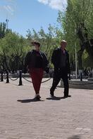 公园老头乐（带病工作）