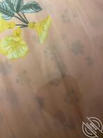 （原创）调教表姐用黄瓜自慰高潮到喷水，感觉表姐的手法好娴熟1