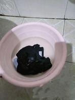 考古 恋母少年 23 放假了1