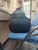 几个女冰女主的制服大屁股1