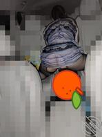 骚妻小癖好(四)承接上次补发1