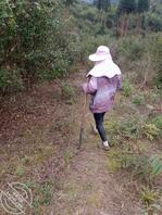 (原创)我和妈妈39,和妈妈上山干活的第二天,野战成功拿下老妈0