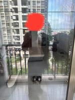 湛江附近寻找熟女阿姨妈妈保姆奶妈干妈绿母儿和绿帽男和乱伦母子玩3p乱伦0