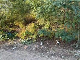 兰州发现车震野战圣地