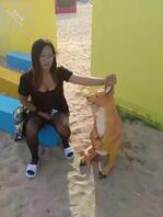 妈妈再婚，儿子该被谁疼爱0