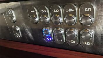 山猪骑士的骑猪生活