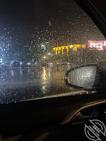 想被舔肉棒的一个夜晚2