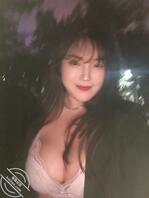 高乐狗狗是人类的好朋友吗0