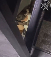 和姐妹逛街遇到得事2