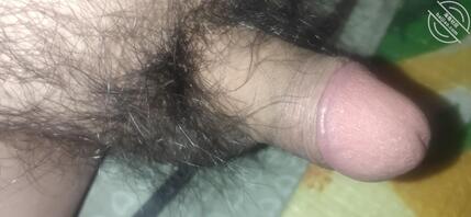 想找个能聊天的