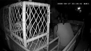 原创大奶骚妻，昨天又被操了，监控拍摄