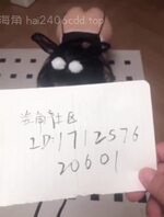 （29）骚逼小妈，正式成为母狗的第一天