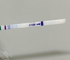 【真实原创】171、婶婶怀孕了,这个夏天突然感觉有些冷0