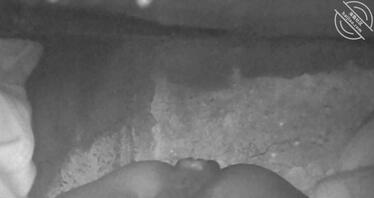偷拍骚逼嫂子上厕所0