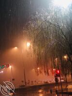 求大哥们出主意2