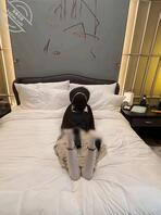 湖州地区小萝莉（已成年）