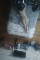 这种天花板上的镜子，应该是酒店的标准，实在是太喜欢了0