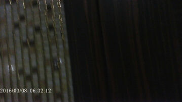 大学生，露脸，对白