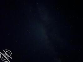 寻BBW母狗和少妇熟女