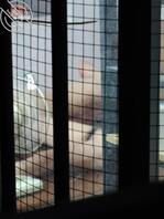 偷看隔壁楼老骚逼