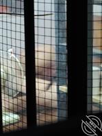 偷看隔壁楼老骚逼1