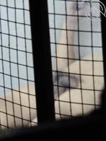 偷看隔壁楼老骚逼2