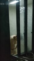 偷拍隔壁少妇洗完澡