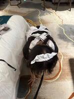 她男朋友怎么也想不到，她在给别的男人口鸡巴哈哈哈