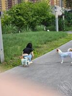 在公园散步，蹲下刚好拍到，真想内射她，让她当母狗2