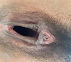 老婆的逼万物皆可塞1