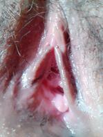 大奶老婆的骚逼