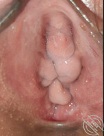 老婆贱逼越来越淫荡2