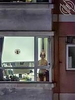 无意间发现这母狗回家就在客厅脱衣服，然后站窗户。面前展示一会，就连洗完澡1