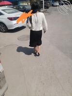 合集12