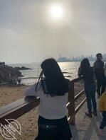 青岛市南小狗，认出可约0