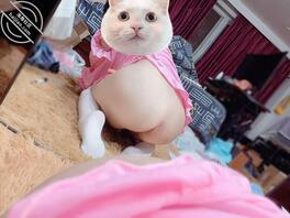 亲爱的小表妹，，发个福利1