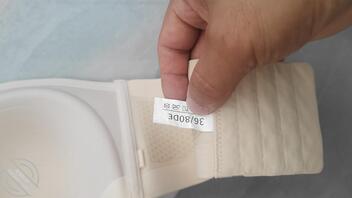 我的大胸姐姐0