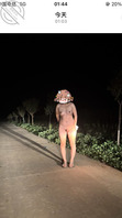 户外路上全裸露出，稍后上视频0