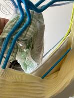 兄弟们又有新货了骚内裤0