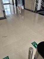 给腿精单独开一贴