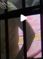 秒射男自己撸硬 插进去四分钟不到就射了 可惜这奶子和屁股了 看的我都急了