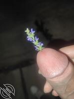 自拍的露出视频