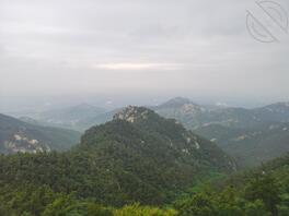 找个临沂的女搭子0