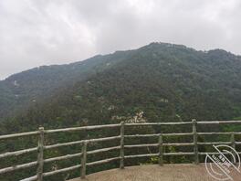 找个临沂的女搭子2