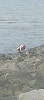 烟台海边偷拍0