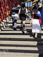 还是海边夏天风景好啊1