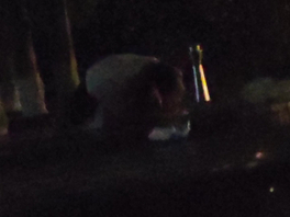 小北门旁边的野战