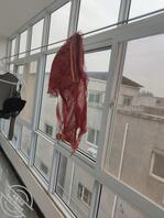 原来租房的宝马销售小骚鸡0